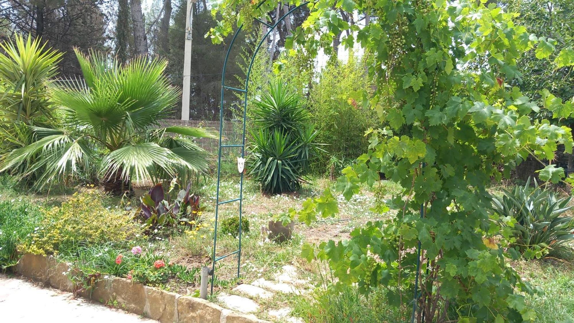 Villa Magali Grande Terrasse Vue Mer, Jardin, Proche Port La Ciotat Bagian luar foto
