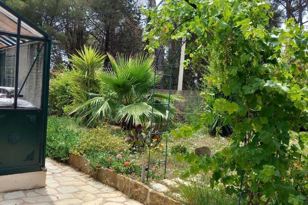 Villa Magali Grande Terrasse Vue Mer, Jardin, Proche Port La Ciotat Bagian luar foto