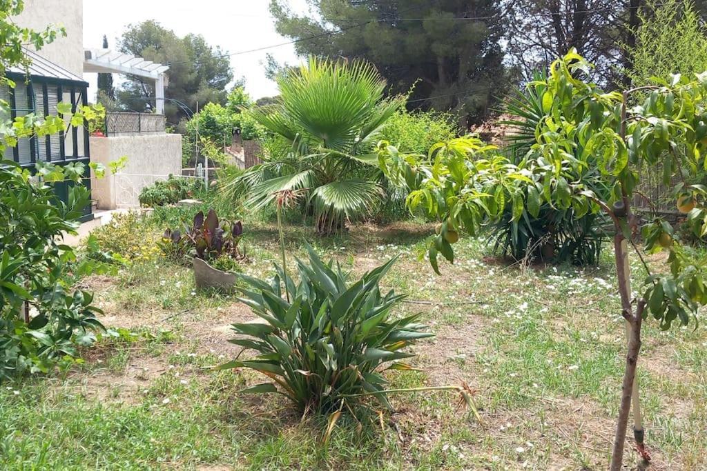 Villa Magali Grande Terrasse Vue Mer, Jardin, Proche Port La Ciotat Bagian luar foto