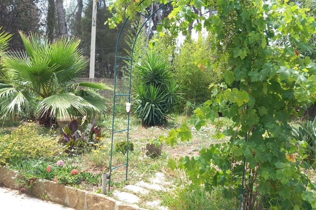 Villa Magali Grande Terrasse Vue Mer, Jardin, Proche Port La Ciotat Bagian luar foto