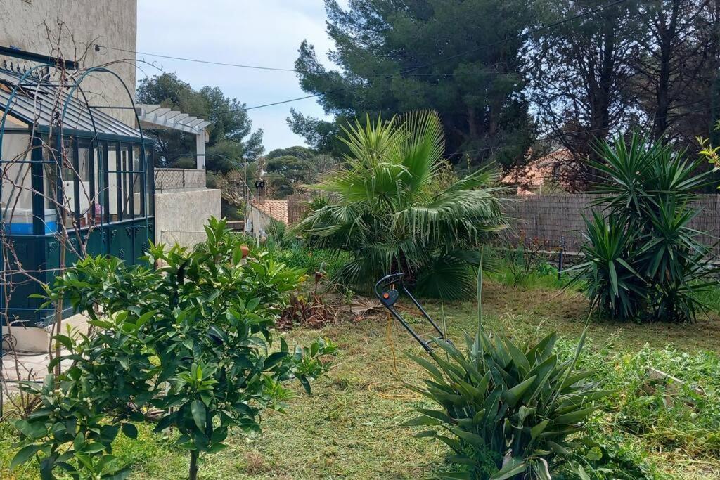 Villa Magali Grande Terrasse Vue Mer, Jardin, Proche Port La Ciotat Bagian luar foto